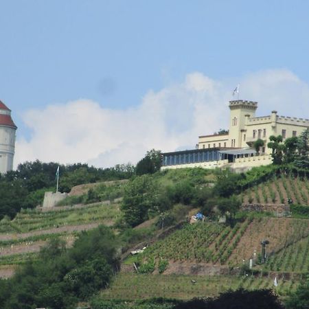 Hotel - Pension Villa Marie Radebeul Kültér fotó