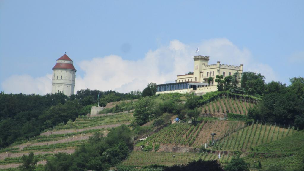 Hotel - Pension Villa Marie Radebeul Kültér fotó