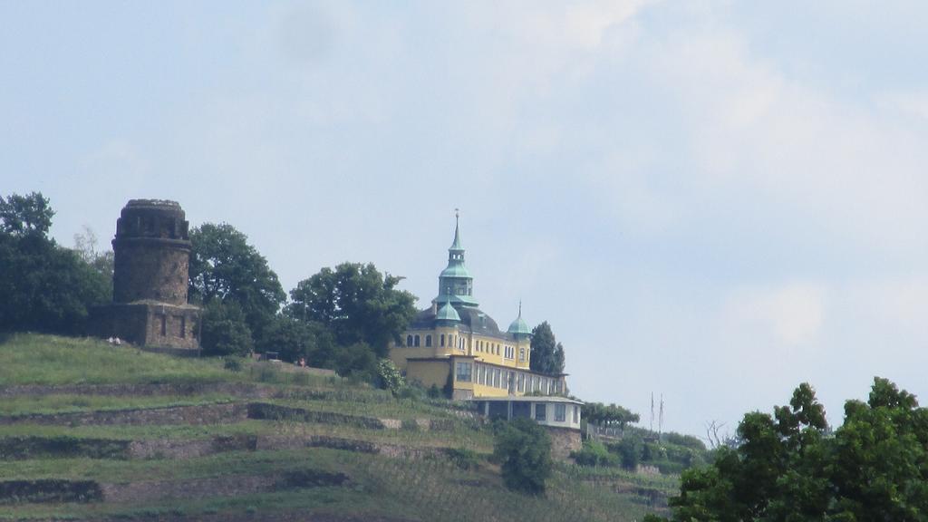 Hotel - Pension Villa Marie Radebeul Kültér fotó